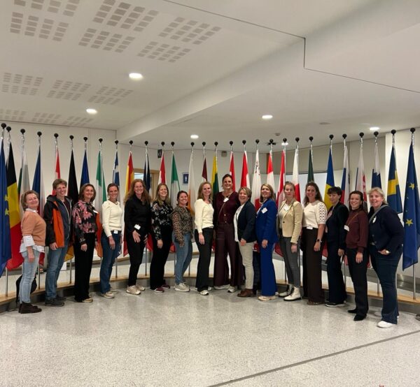 Docenten op een rij voor vlaggen